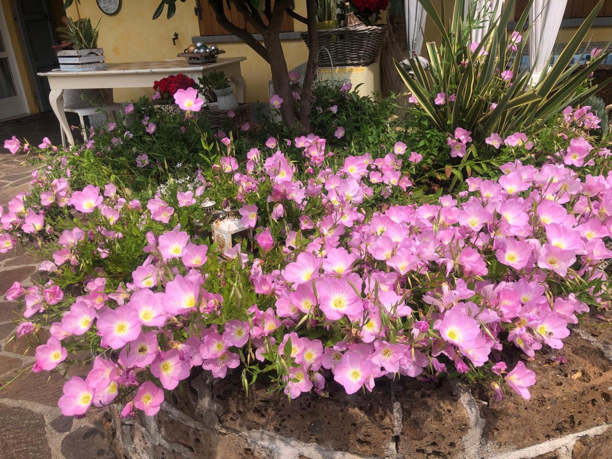 B & B Da Giusy Corte Franca Bagian luar foto
